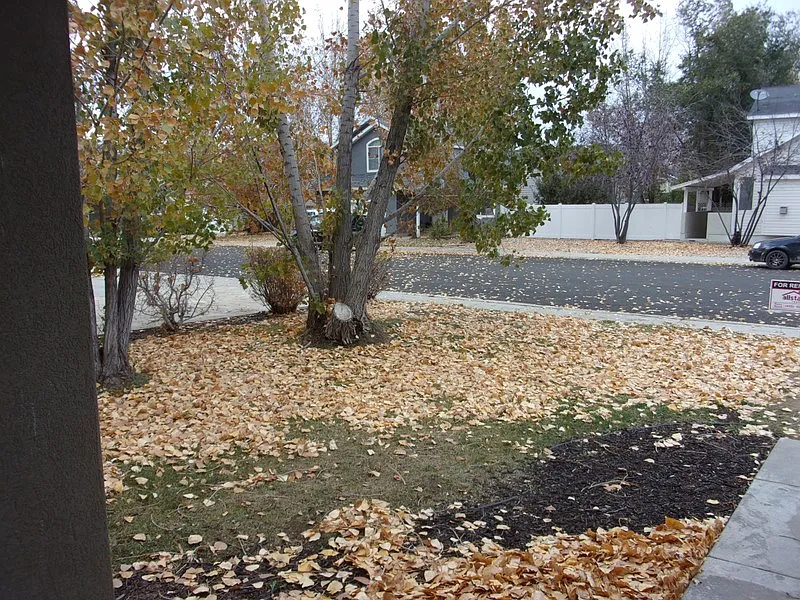 Single Family Home - Heber Landing — Photo 3