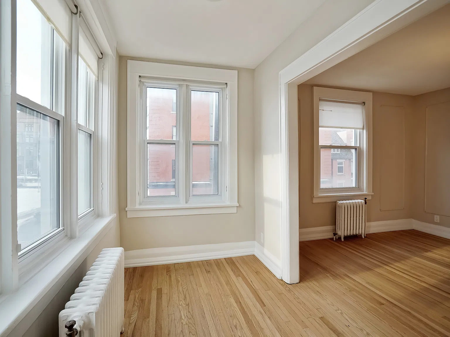 407 Elgin St — Photo 4