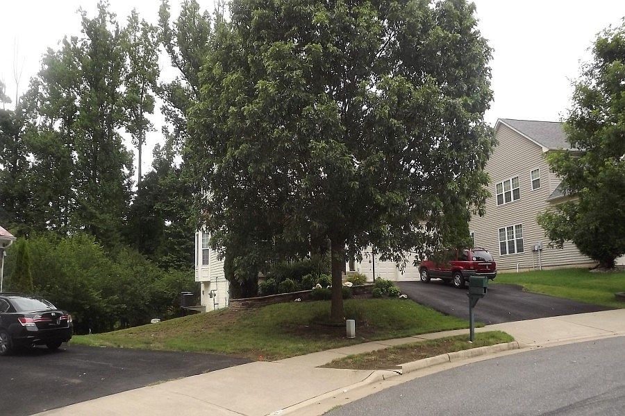 2nd image of 19014 Rosings Way