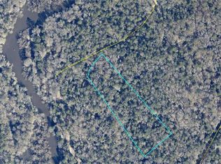 00 Spikes Road, Reidsville, GA 30453