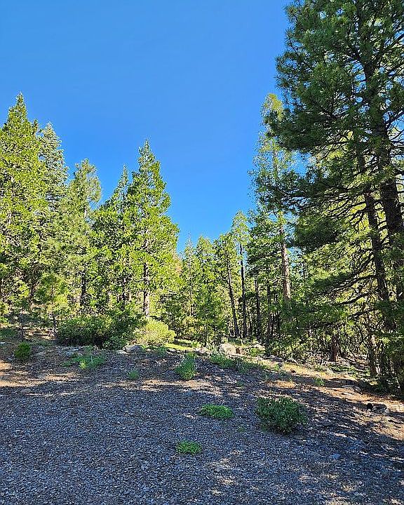 1st image of 0 California Pines Blvd Lot 53