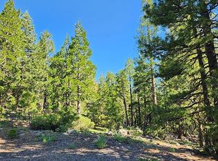 0 California Pines Blvd LOT 53, Alturas, CA 96101