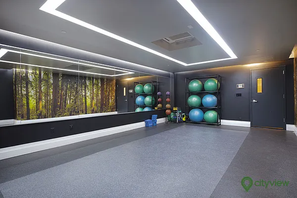 Rented by City View Living | media 17