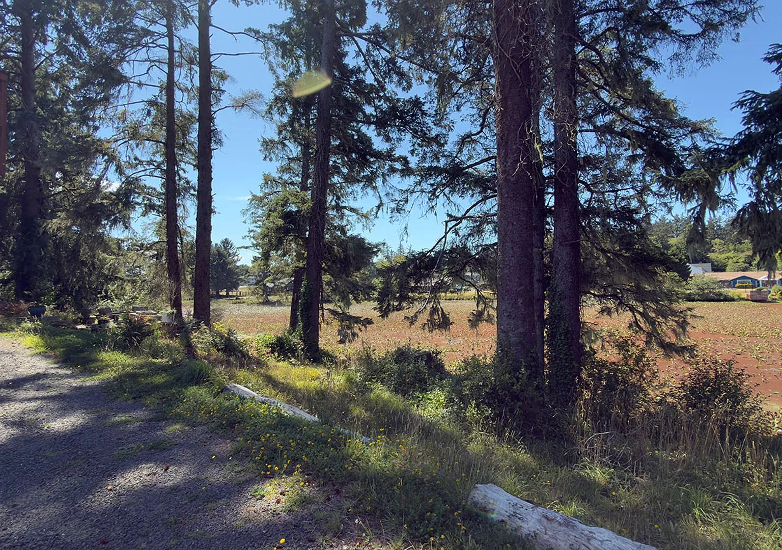 33254 Columbia Beach Lane, Warrenton, OR 97146 — Photo 2