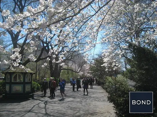 Rented by Bond New York | media 6