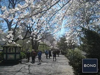 Rented by Bond New York