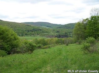 10 Tbd State Hwy, Hamden, NY 13782