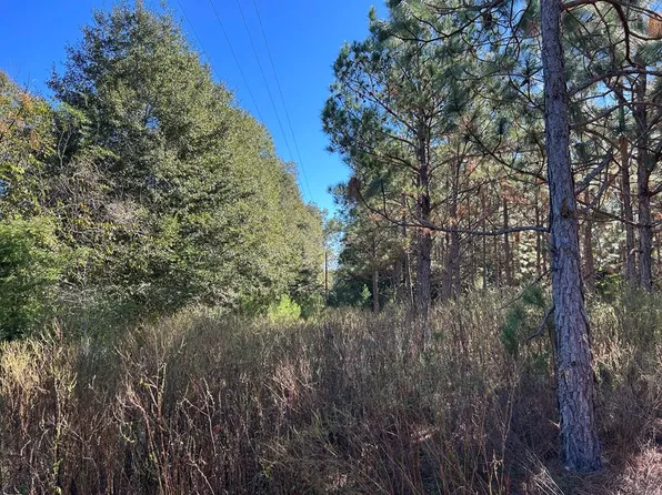 10 Ac Cty Rd Lot 1PL-141, Headland, AL 36345