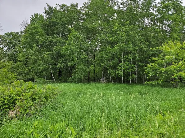 20 Acres 22 1/4 Street, Chetek, WI 54728