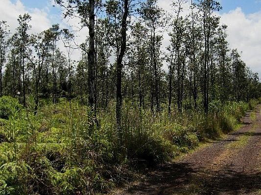 1st image of Road 6 Ooaa Lot 4229