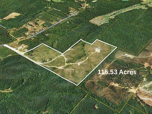 5th image of Tbd1 Guys Chewalla Rd