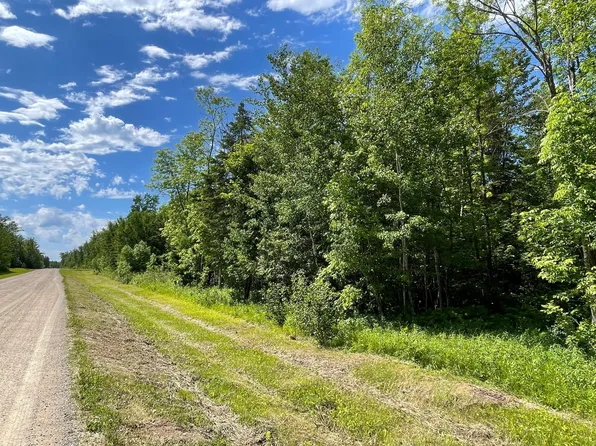 Timber Trail Dr, Bemidji, MN 56601