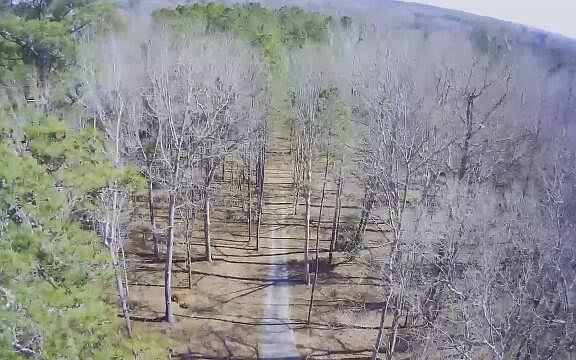 2nd image of 347 Sexton Ln #41