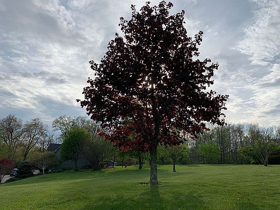 5th image of 9718 Township Road 166
