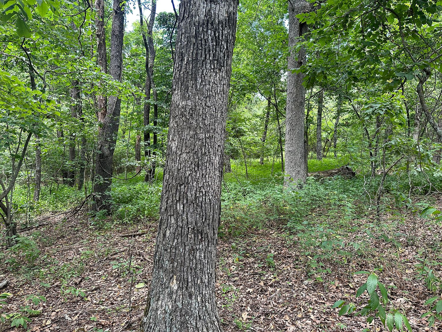 0 Nc 3690, Western Grove, AR 72685 MLS 148376 Zillow