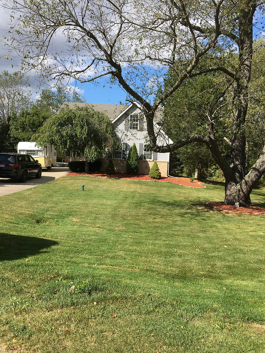 10771 Tree Line Dr photo 1