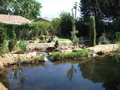 Upper Pond