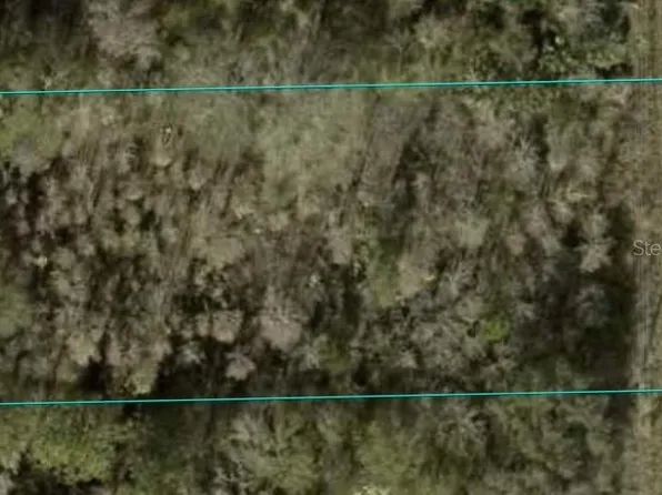 1366 County Road 305 Lot 23, Bunnell, FL 32110