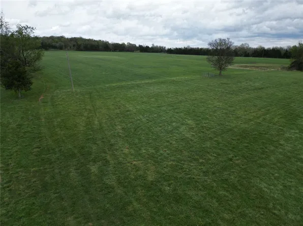 10191 Rally Hill Rd, Everton, AR 72633