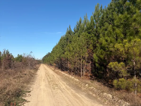 Orangeburg Rd, Estill, SC 29918