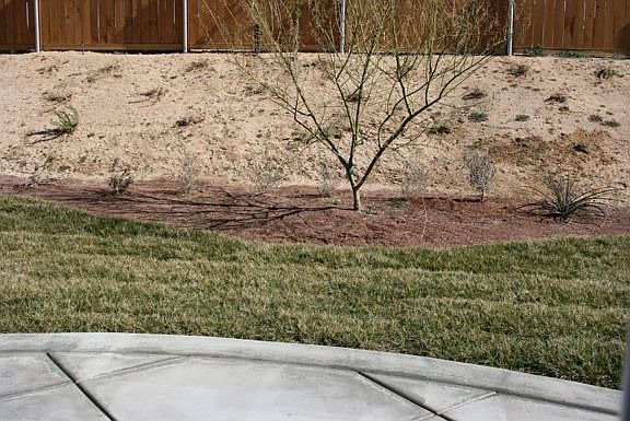 2nd image of 12355 Griffin Ln