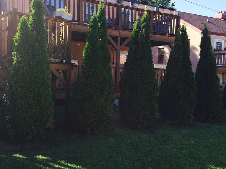 3232 S Illinois Ave #A — Photo 9