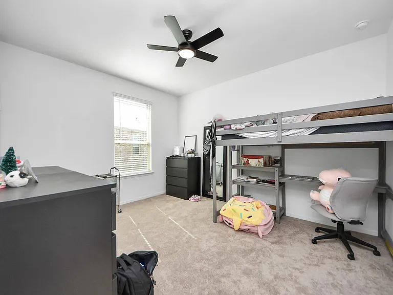 3113 Freiberger Ln — Photo 4