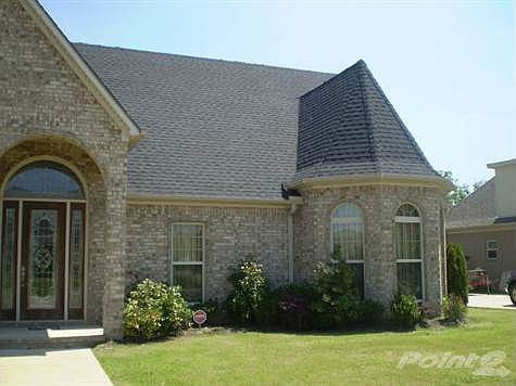 610 River Birch008