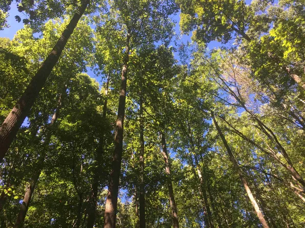 0 W 3rd St, Siler City, NC 27344