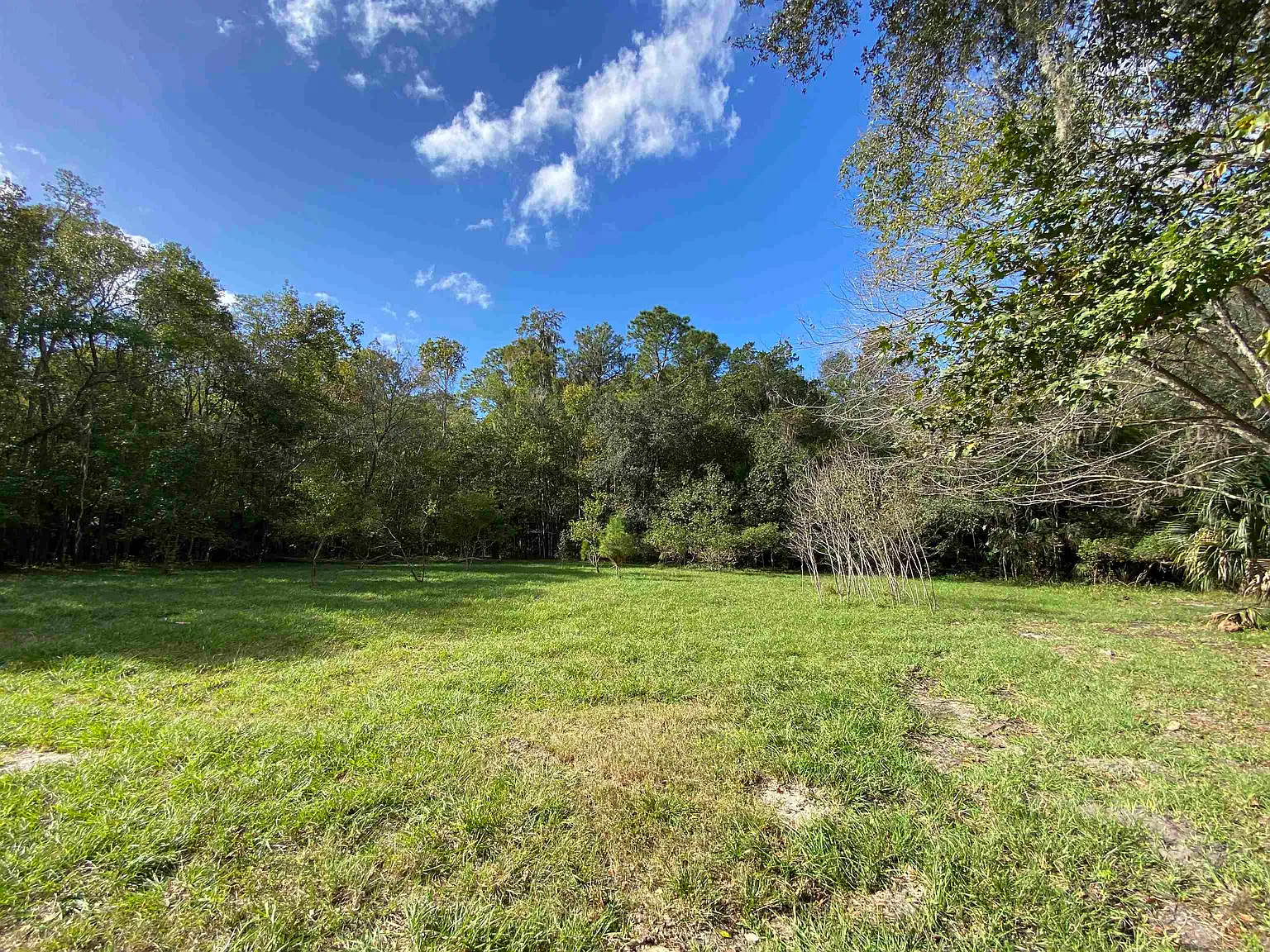 3 bed, 2.5 bath, 2352 sqft, $2,500 — Photo 3