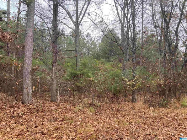 1084 Loop Rd #0, Ashville, AL 35953