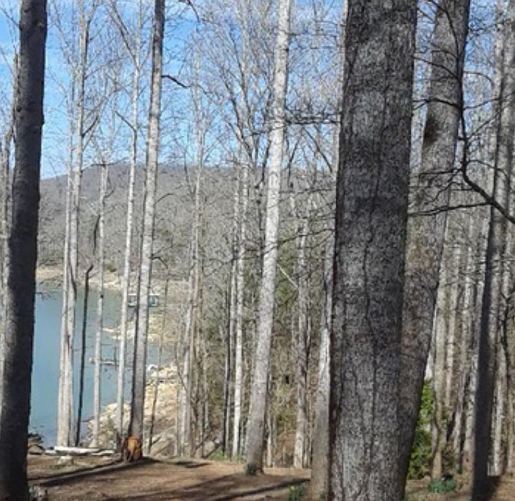 Side view of lake property. 