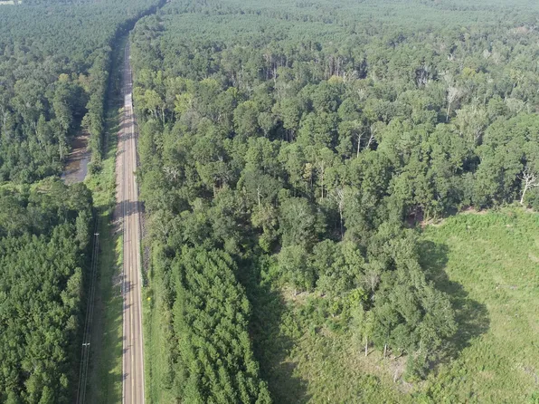 Farm To Market Rd #705, Pineland, TX 75968