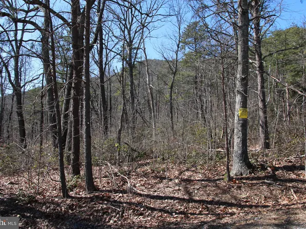 Shipwreck Rd, Shenandoah, VA 22849