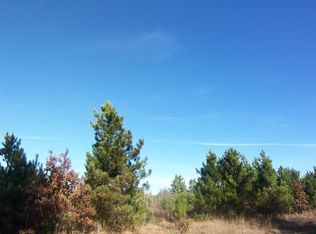 LOT 3 Black Brook Rd, Webster, WI 54893