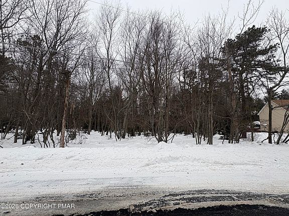 5th image of Pine Tree Rd #824