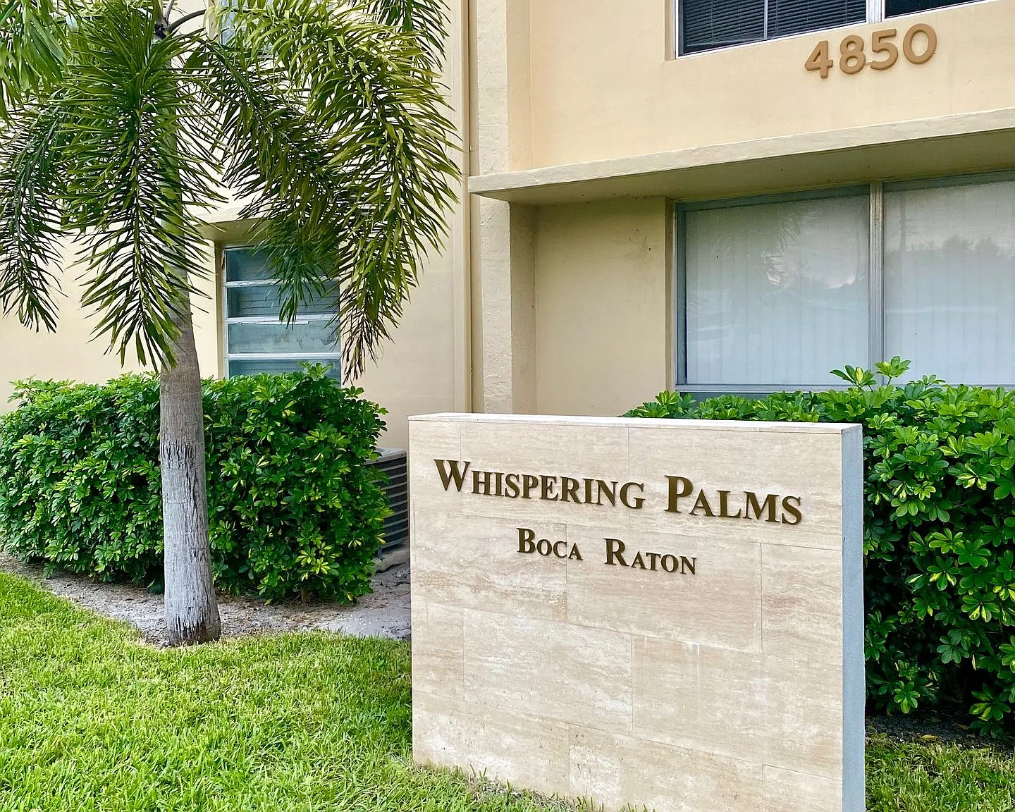 Whispering Palms — Photo 1