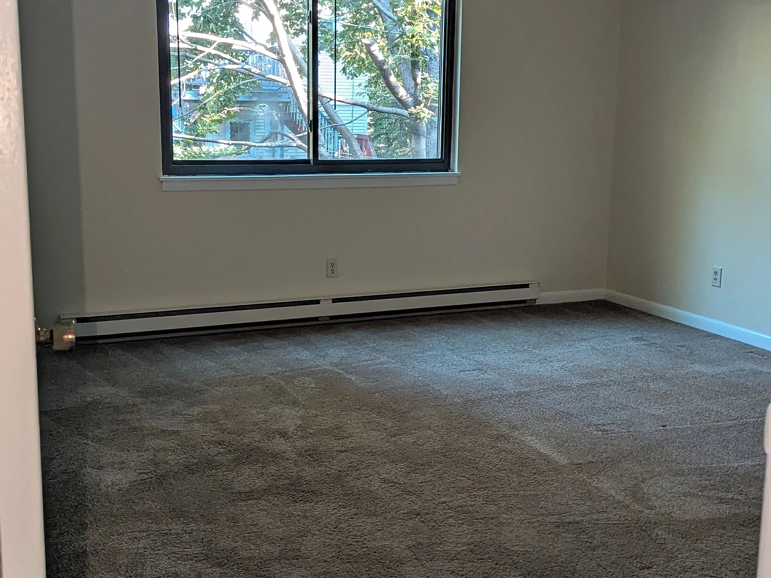 1 bed, 1.0 bath, 800 sqft, $1,600 — Photo 3