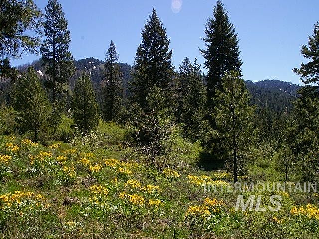 2nd image of Tbd Highway 95