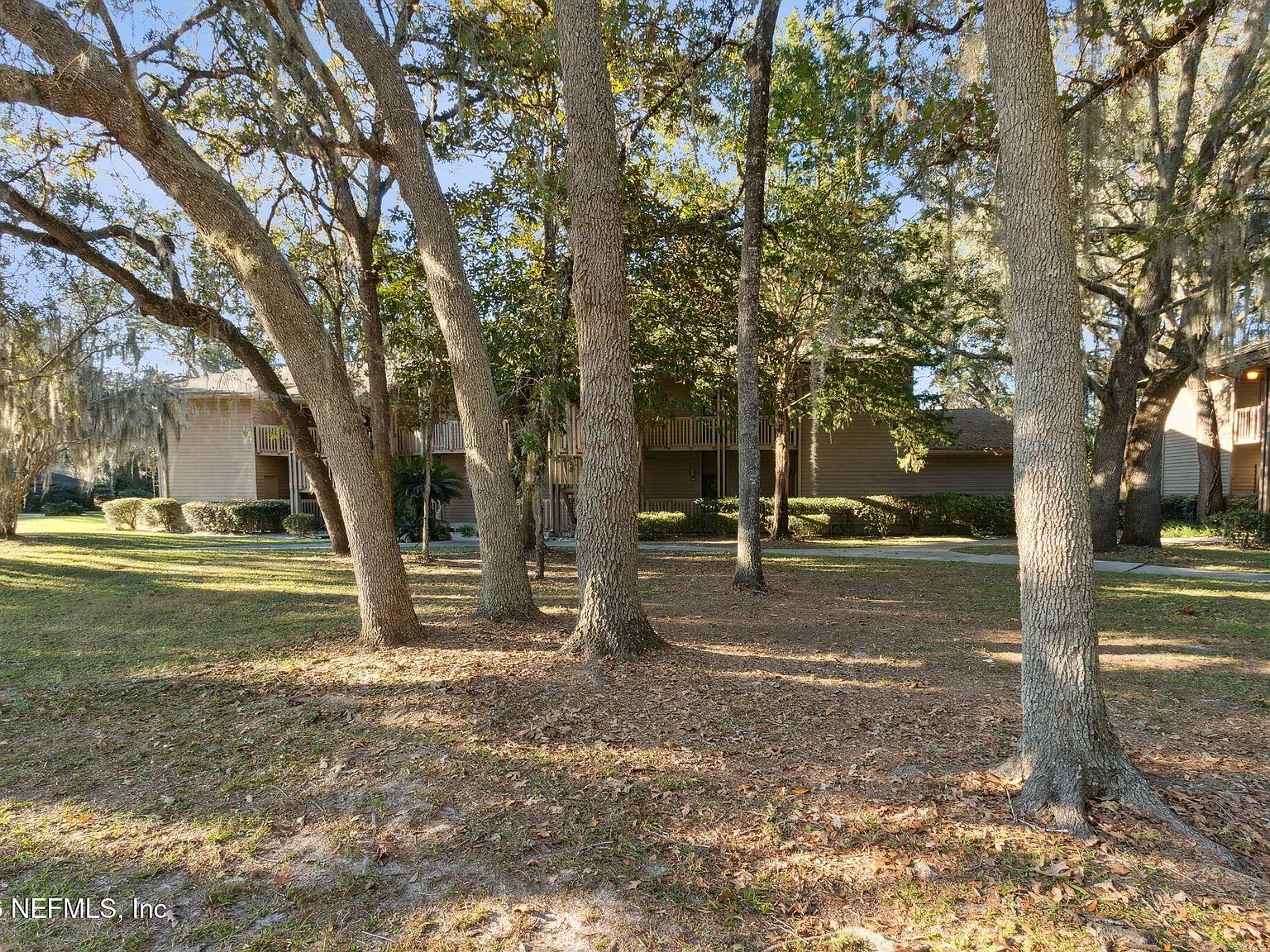 1 bed, 1.0 bath, 420 sqft, $1,195 — Photo 2