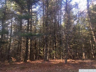 0 Fawn Hill Rd, Lexington, NY, 12452