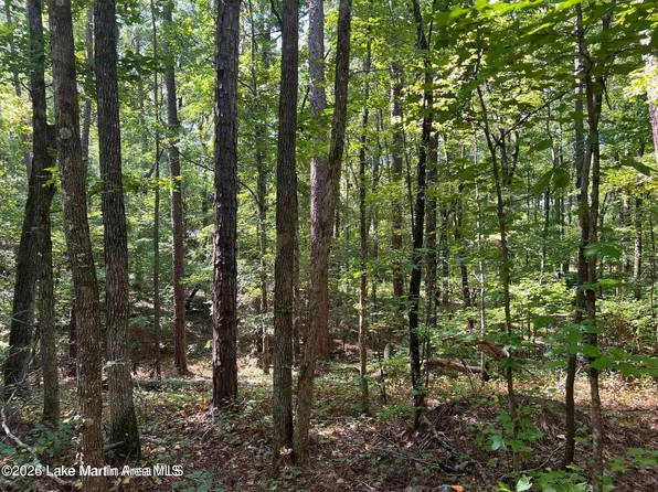 LOT 31 Deer Run Rd, Dadeville, AL 36853