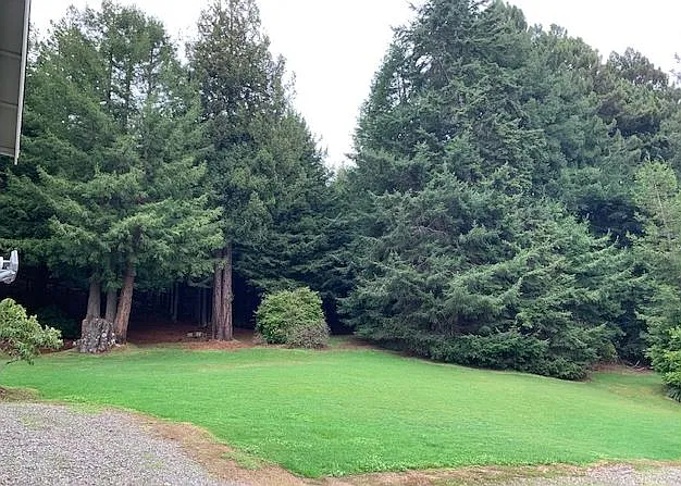 Small portion of the backyard.