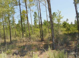 NE 100th St, Branford, FL 32008