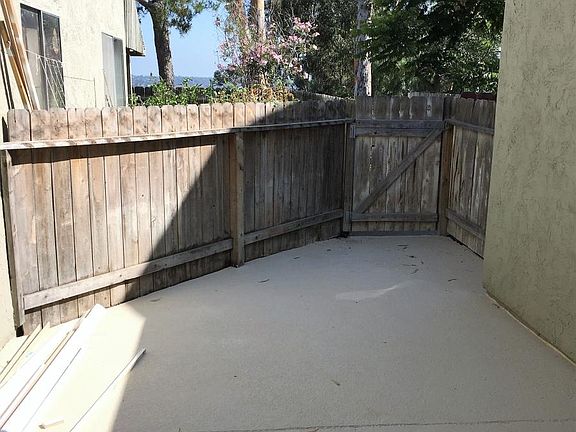 Back yard 2