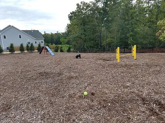 Dog park