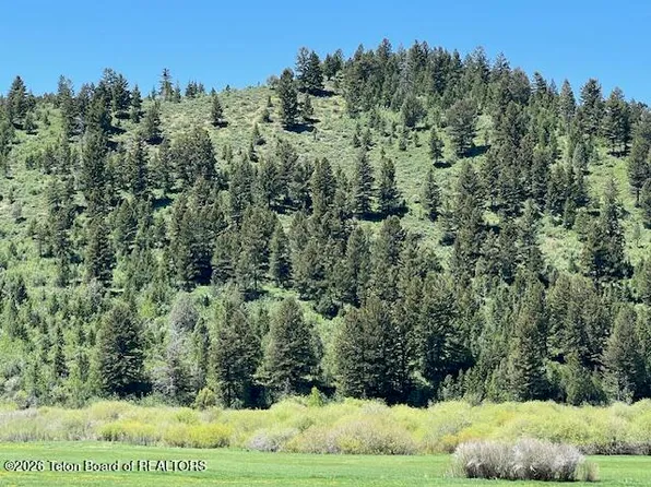 5001 Fairview Spg, Afton, WY 83110