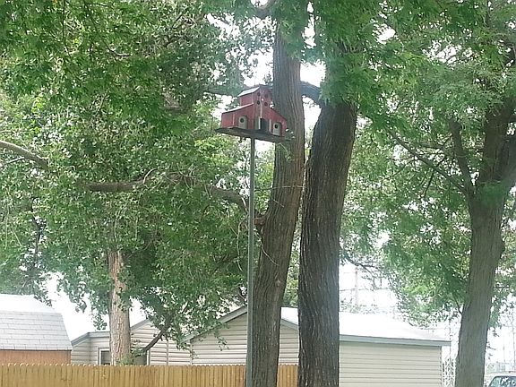 Birdhouse Front Yard_06302014