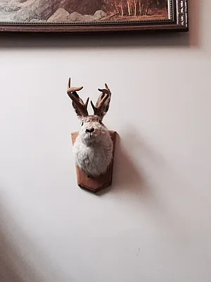 Rented by Premier Metro Realty Corp | media 29