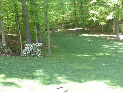 Yard
						:
						For entertaining or play, nice yard
